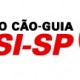 logo_sesi logo_sesi